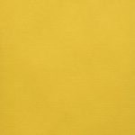 kiwi / ≅ Pantone 110U / Farb-Nr. 284