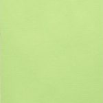 birkengrün / ≅ Pantone 367U / Farb-Nr. 305